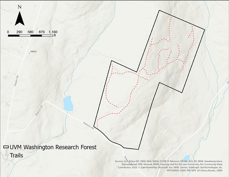 Map of Washington Forest showing trails 