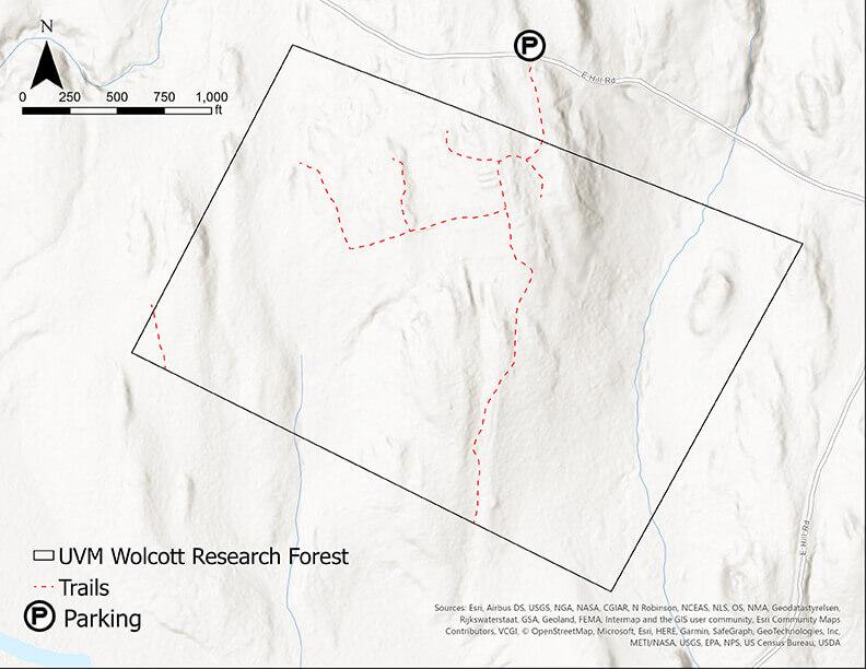 Map of the trails at Walcott Research Forest