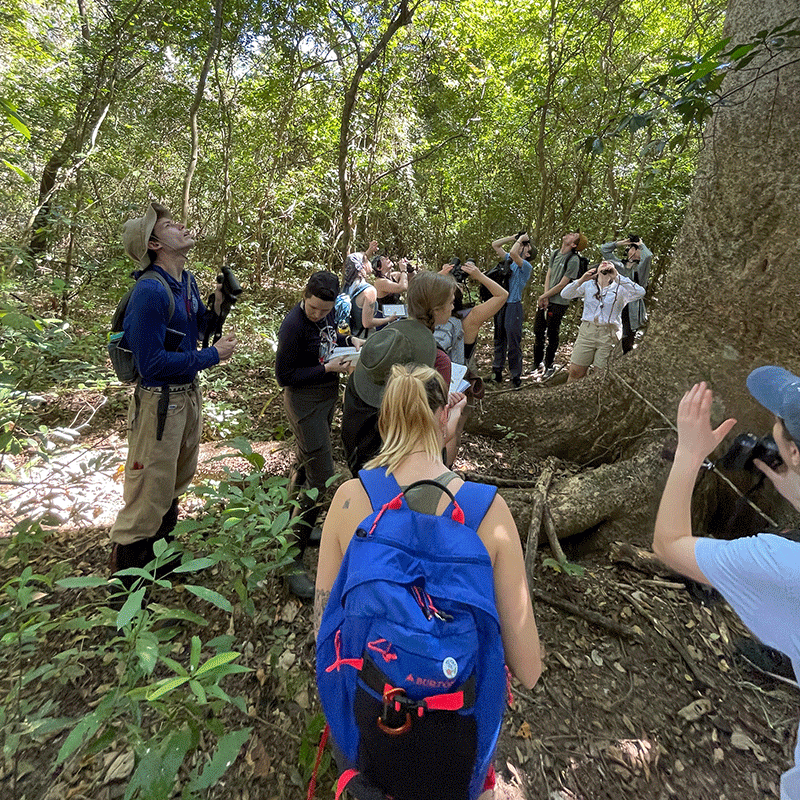 UVM students explore the Costa Rican Dry forest at the Lomas de Barbudal Biological Reserve.