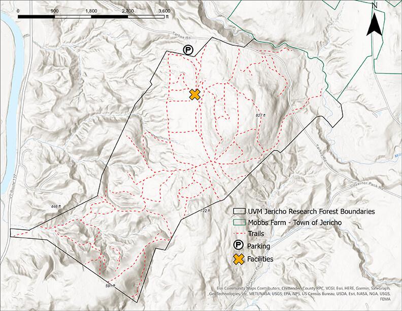 Map of Jericho Research Forest trails