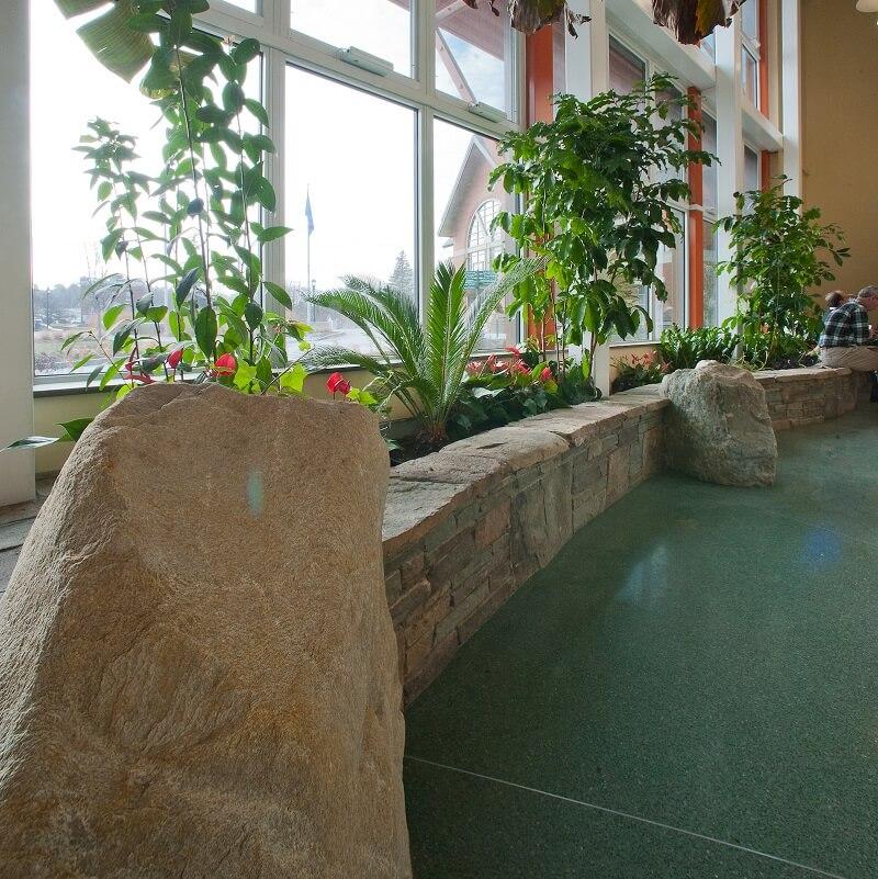 A look at the Aiken Solarium with many plants, rocks, and a blue/green floor