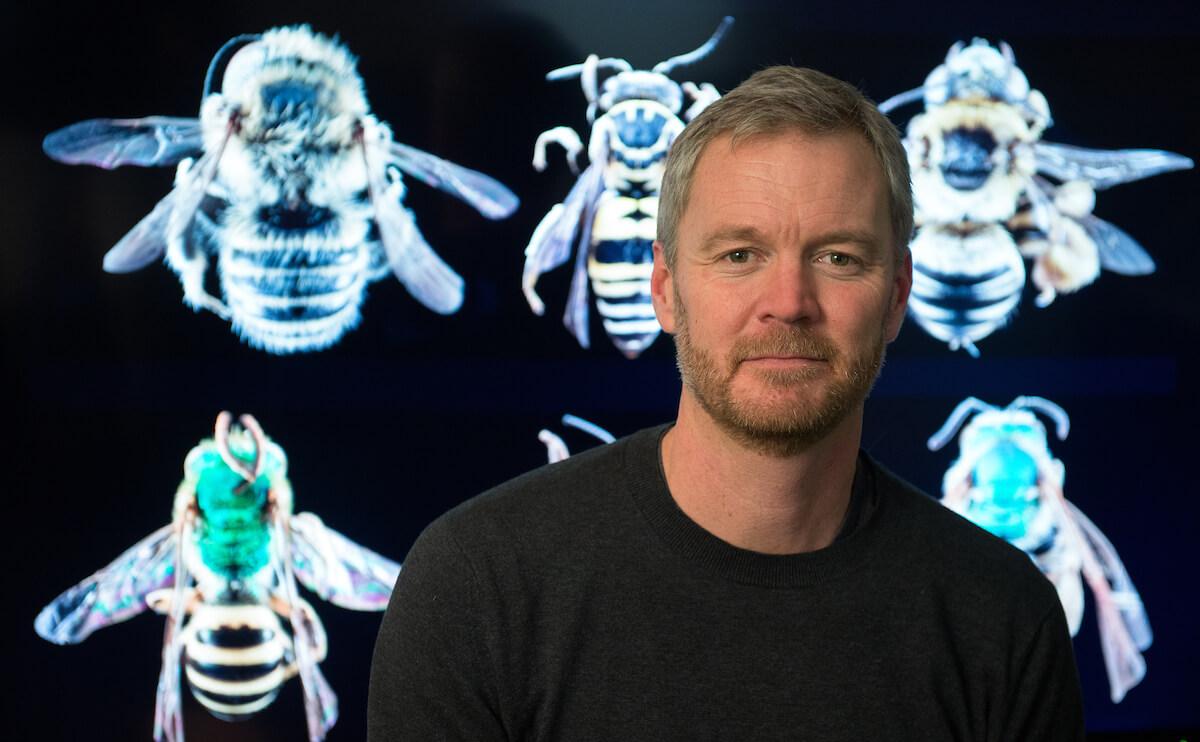 Taylor standing in front of a digital screen which is displaying x-rays of bees.